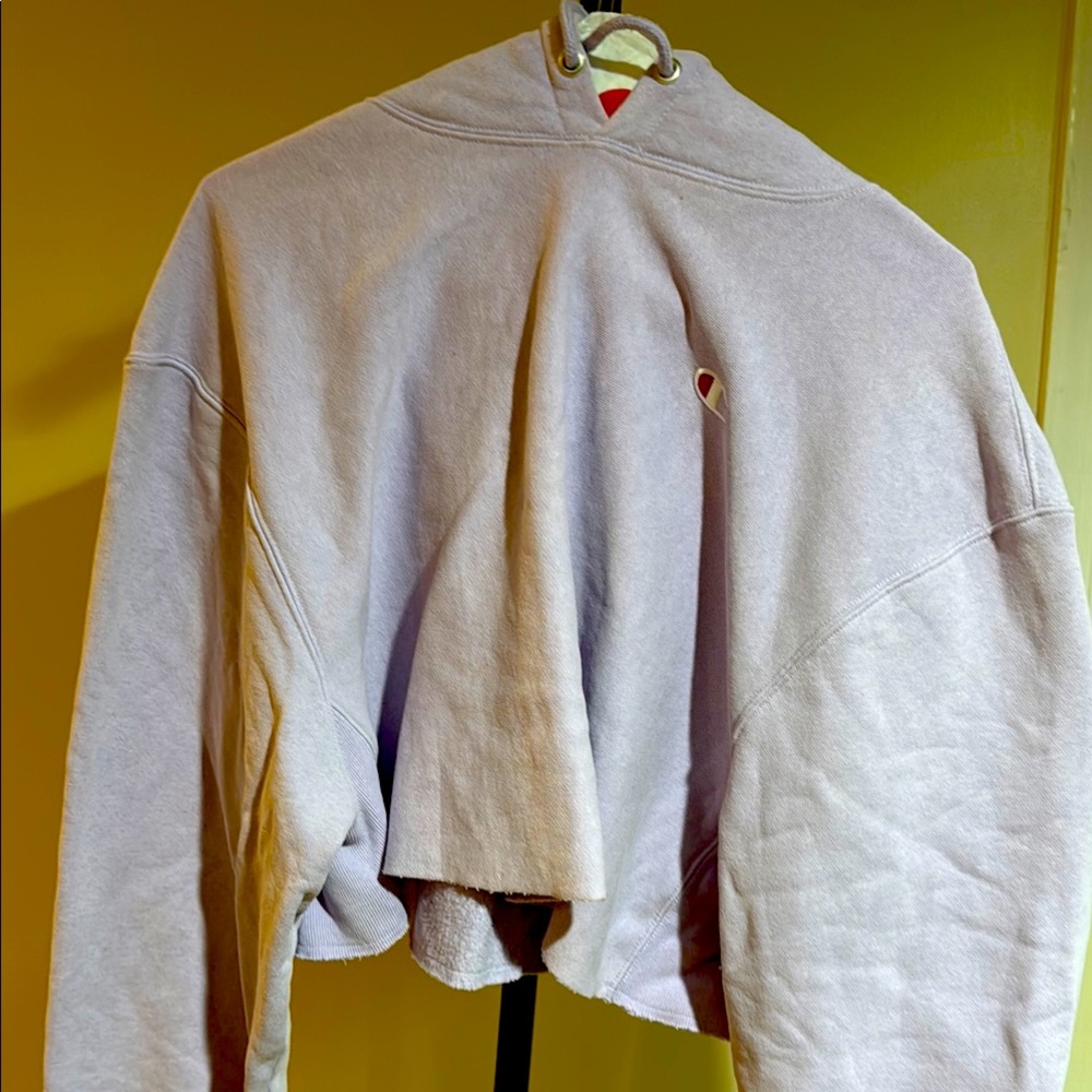 Champion Lavender Hoodie cropped
